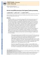 Intronic microRNA precursors that bypass Drosha processing