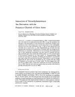 Interaction of Tetraethylammonium Ion Derivatives with the Potassium Channels of Giant Axons