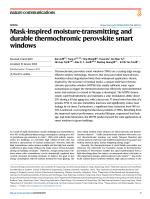 Mask-inspired moisture-transmitting and durable thermochromic perovskite smart windows