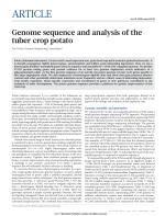 Genome sequence and analysis of the tuber crop potato