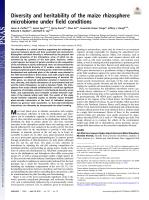 Diversity and heritability of the maize rhizosphere microbiome under field conditions
