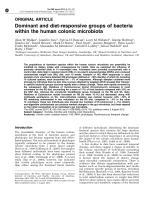 Dominant and diet-responsive groups of bacteria within the human colonic microbiota