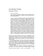 Ionic Blockage of Sodium Channels in Nerve