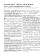 Human receptors for sweet and umami taste
