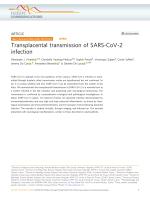 Transplacental transmission of SARS-CoV-2 infection