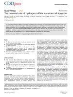 The potential role of hydrogen sulfide in cancer cell apoptosis