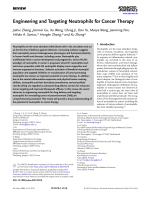 Engineering and Targeting Neutrophils for Cancer Therapy