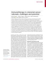 Immunotherapy in colorectal cancer: rationale, challenges and potential
