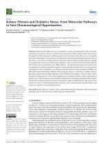 Kidney Fibrosis and Oxidative Stress: From Molecular Pathways to New Pharmacological Opportunities