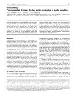 Phosphoinositide 3-kinase: the key switch mechanism in insulin signalling