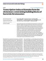 Transcription-induced domains form the elementary constraining building blocks of bacterial chromosomes