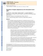 Regulation of hepatic lipogenesis by the transcription factor XBP1