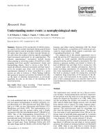 Understanding motor events: a neurophysiological study