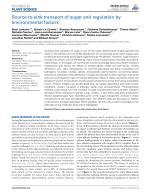 Source-to-sink transport of sugar and regulation by environmental factors