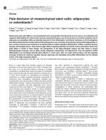 Fate decision of mesenchymal stem cells: adipocytes or osteoblasts?