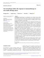 Gut microbiome affects the response to immunotherapy in non-small cell lung cancer