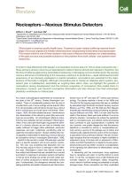 Nociceptors—Noxious Stimulus Detectors