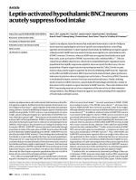 Leptin-activated hypothalamic BNC2 neurons acutely suppress food intake