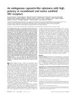 An endogenous capsaicin-like substance with high potency at recombinant and native vanilloid VR1 receptors