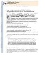 Large intergenic non-coding RNA-RoR modulates reprogramming of human induced pluripotent stem cells