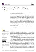 Mechanism of Decision Making between Autophagy and Apoptosis Induction upon Endoplasmic Reticulum Stress