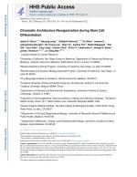 Chromatin Architecture Reorganization during Stem Cell Differentiation