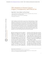 TP53 Mutations in Human Cancers: Origins, Consequences, and Clinical Use