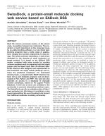 SwissDock, a protein-small molecule docking web service based on EADock DSS