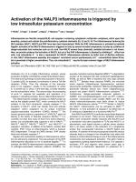 Activation of the NALP3 inflammasome is triggered by low intracellular potassium concentration