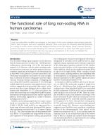 The functional role of long non-coding RNA in human carcinomas