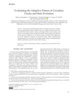Evaluating the Adaptive Fitness of Circadian Clocks and their Evolution