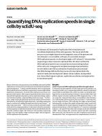Quantifying DNA replication speeds in single cells by scEdU-seq