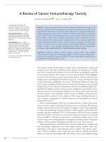 A Review of Cancer Immunotherapy Toxicity