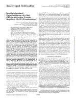 Insulin-stimulated Phosphorylation of a Rab GTPase-activating Protein Regulates GLUT4 Translocation