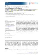 An image processing pipeline for electron cryo-tomography in RELION-5