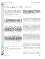 Fat tissue, aging, and cellular senescence