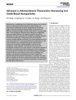Advances in Atherosclerosis Theranostics Harnessing Iron Oxide-Based Nanoparticles
