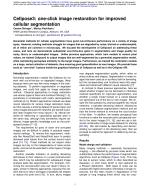 Cellpose3: one-click image restoration for improved cellular segmentation