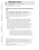Endothelial and perivascular cells maintain haematopoietic stem cells