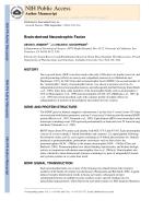Brain-derived Neurotrophic Factor