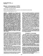 Human cyclooxygenase-2 cDNA