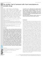 The Achilles’ heel of senescent cells: from transcriptome to senolytic drugs