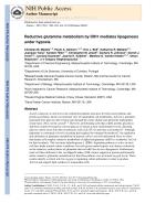 Reductive glutamine metabolism by IDH1 mediates lipogenesis under hypoxia