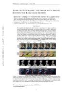 NOISE MAP GUIDANCE: INVERSION WITH SPATIAL CONTEXT FOR REAL IMAGE EDITING