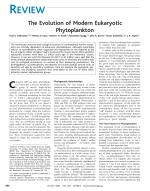 The Evolution of Modern Eukaryotic Phytoplankton
