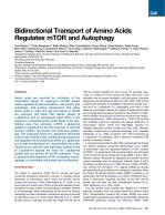 Bidirectional Transport of Amino Acids Regulates mTOR and Autophagy