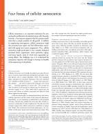 Four faces of cellular senescence
