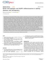 Renal macrophages and NLRP3 inflammasomes in kidney diseases and therapeutics