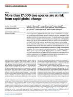 More than 17,000 tree species are at risk from rapid global change