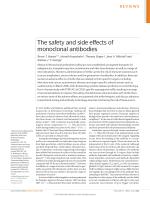 The safety and side effects of monoclonal antibodies